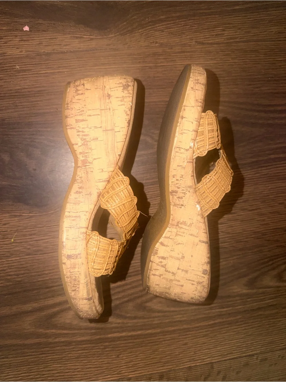 Mudd slip wedge